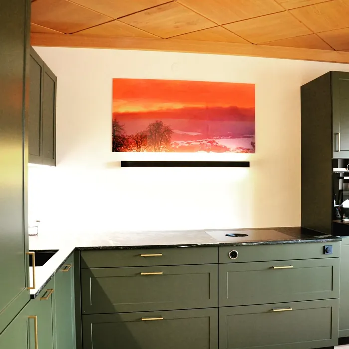 RAL Classic RAL 6003 kitchen cabinets color