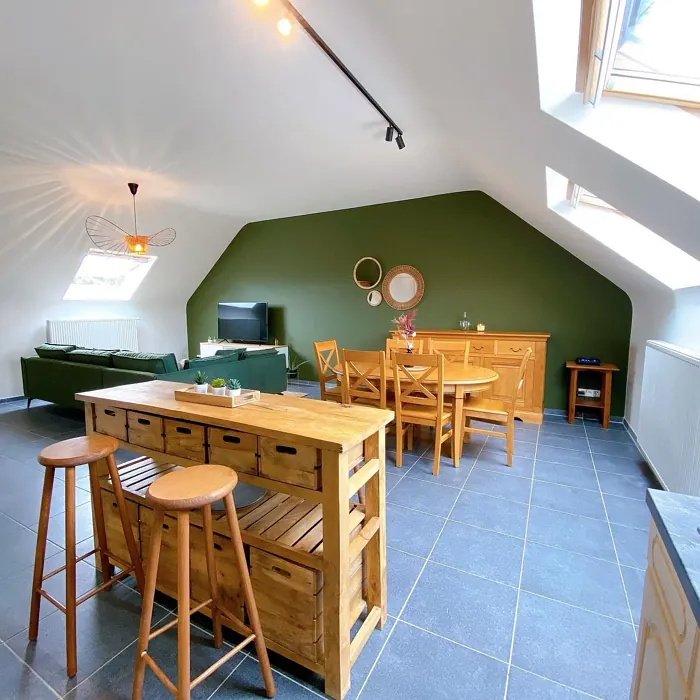 RAL 6003 accent wall 