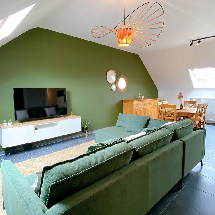 RAL 6003 accent wall color review