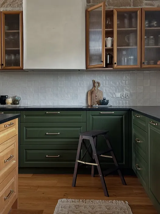 RAL 6003 kitchen cabinets paint review