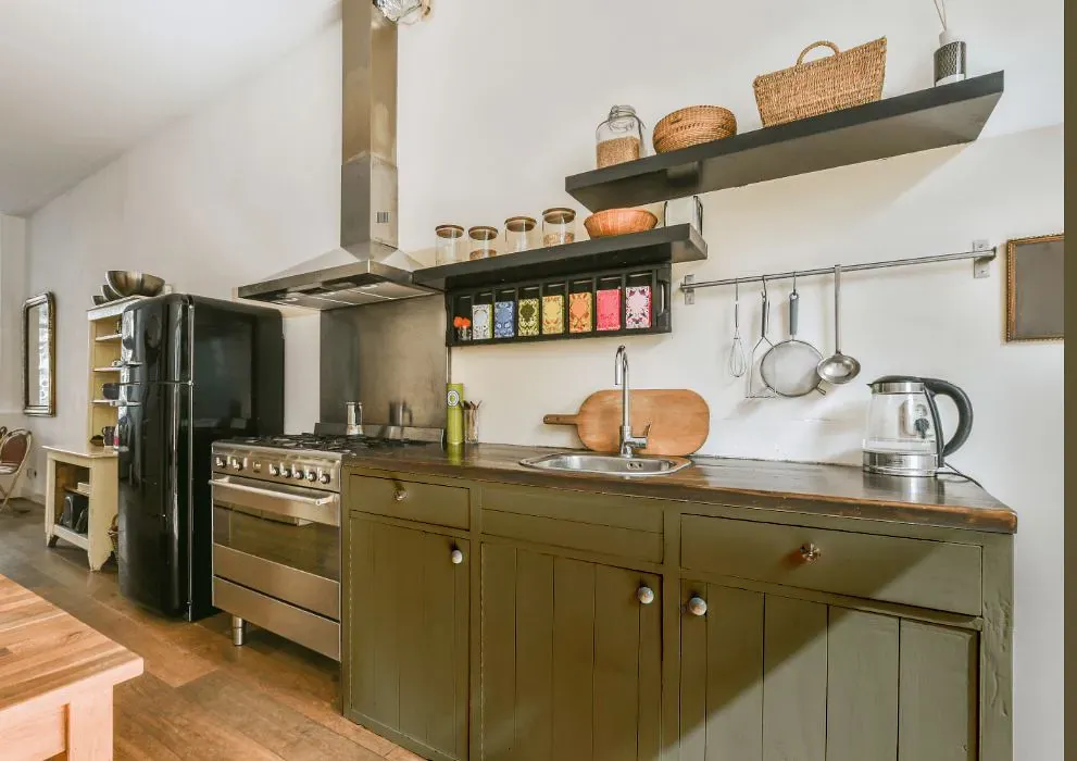 Sherwin Williams Olive Grove kitchen cabinets