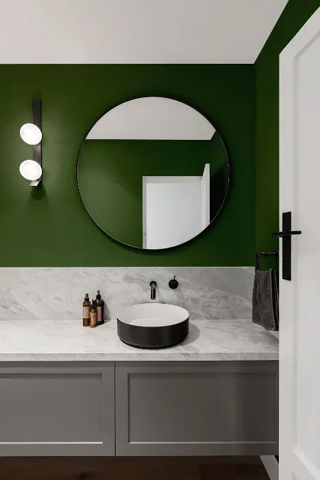 Sherwin Williams Olivetone minimalist bathroom