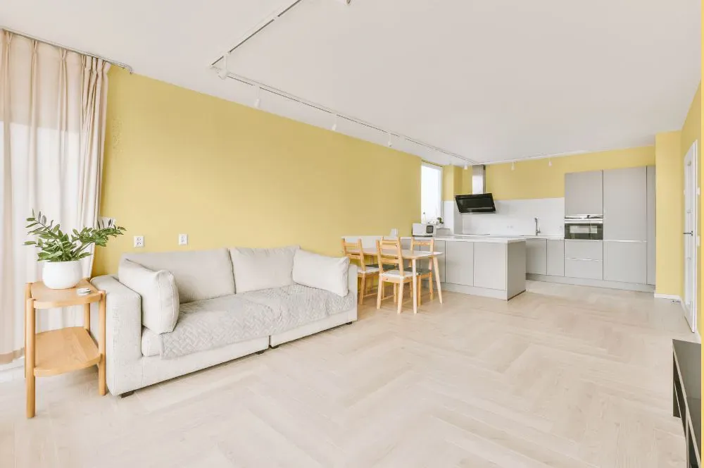Sherwin Williams Optimistic Yellow living room interior