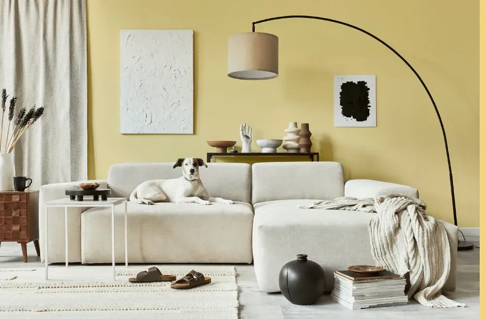 Sherwin Williams Optimistic Yellow cozy living room