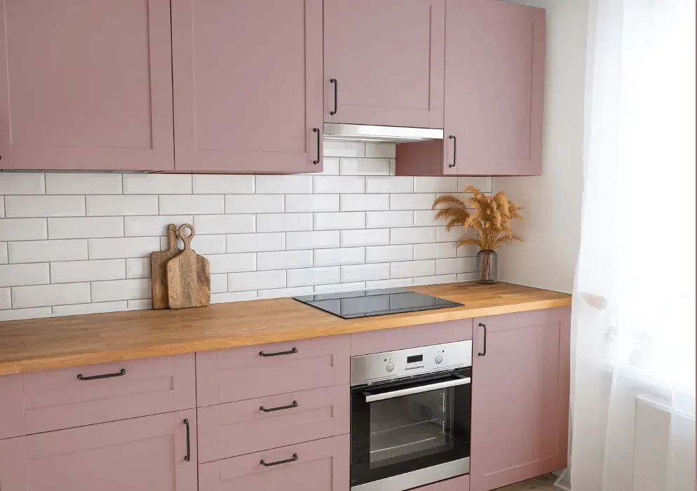 Sherwin Williams Orchid kitchen cabinets