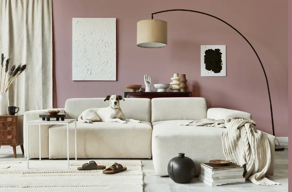 Sherwin Williams Orchid cozy living room