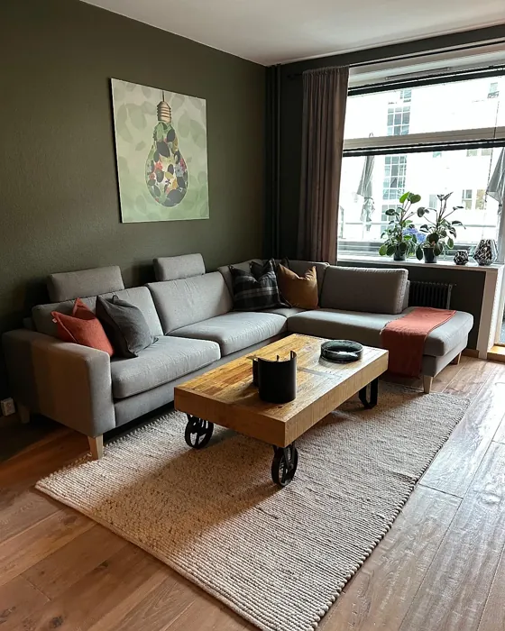 Jotun Organic Green cozy living room paint review