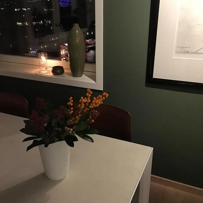 Jotun Organic Green dining room color