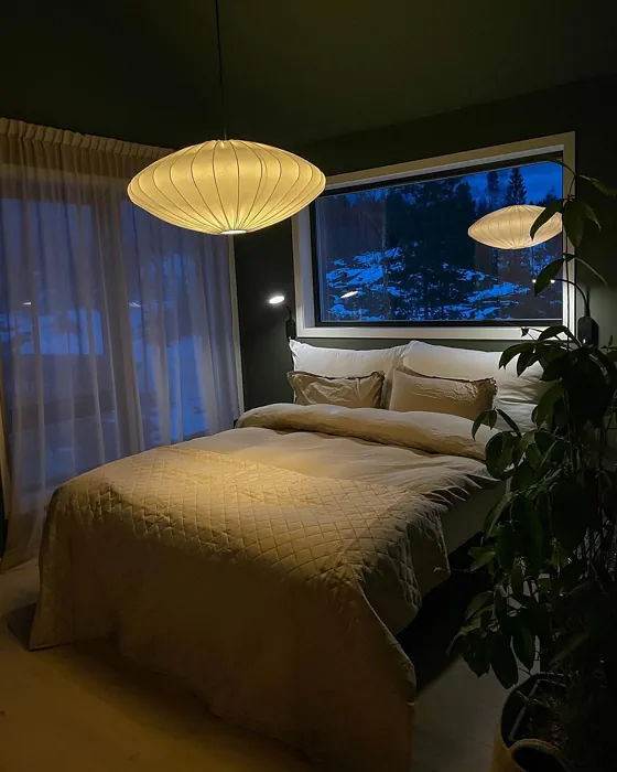 Jotun Organic Green modern bedroom color