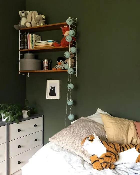 Jotun Organic Green kids' room color review