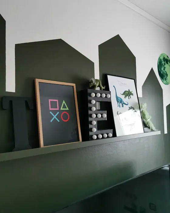 Organic Green living room color-block