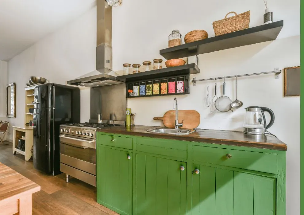 Sherwin Williams Organic Green kitchen cabinets