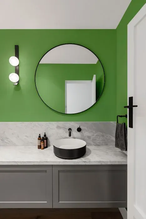 Sherwin Williams Organic Green minimalist bathroom