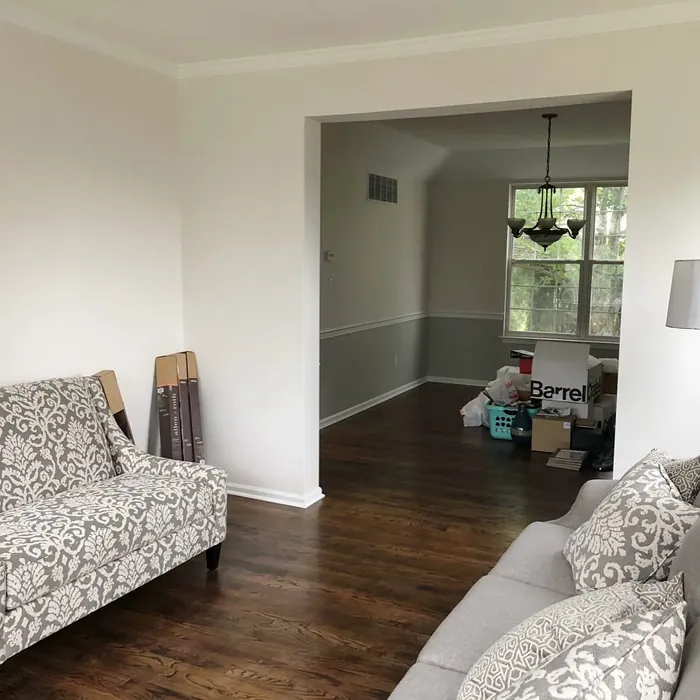 Origami White living room color