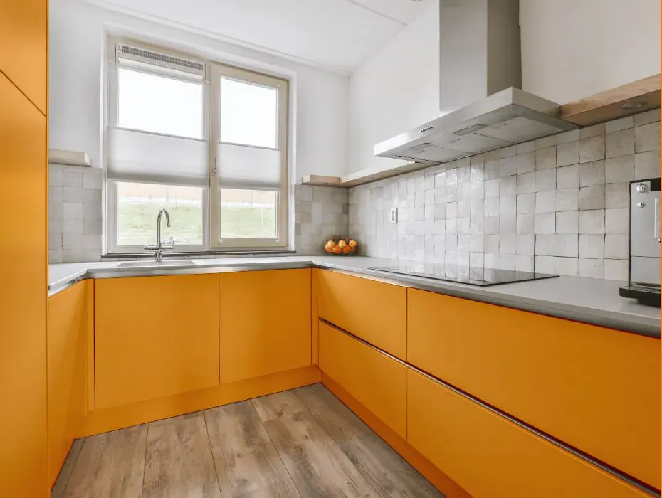 Sherwin Williams Osage Orange small kitchen cabinets