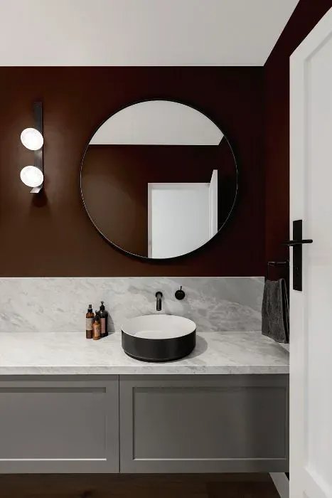 Sherwin Williams Otter minimalist bathroom