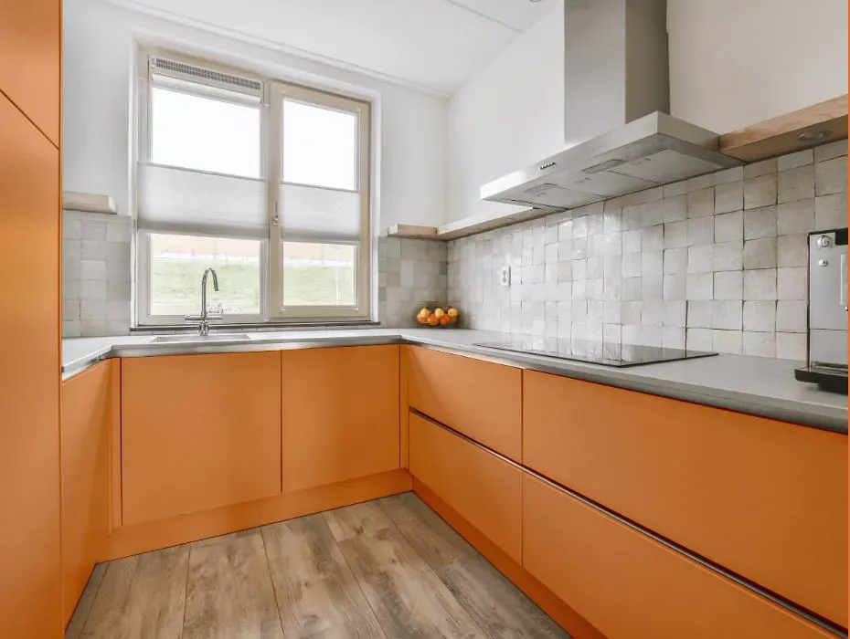 Sherwin Williams Outgoing Orange small kitchen cabinets