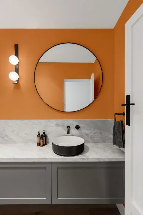 Sherwin Williams Outgoing Orange minimalist bathroom