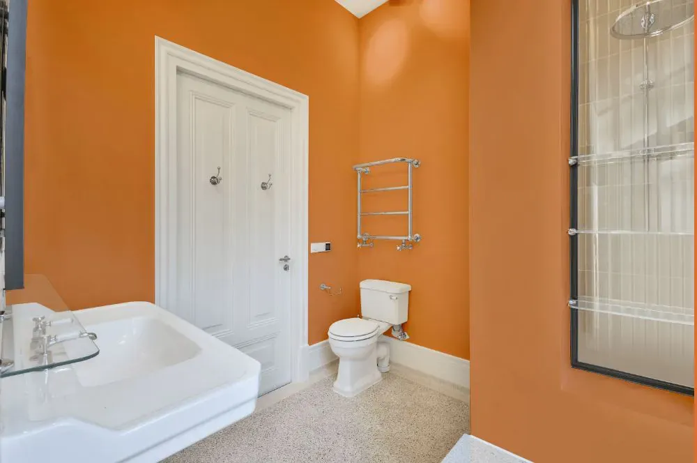 Sherwin Williams Outgoing Orange bathroom
