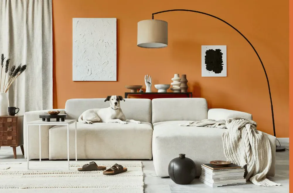 Sherwin Williams Outgoing Orange cozy living room
