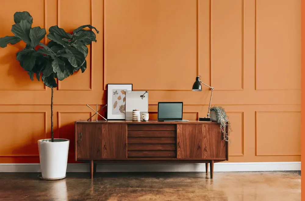 Sherwin Williams Outgoing Orange modern interior
