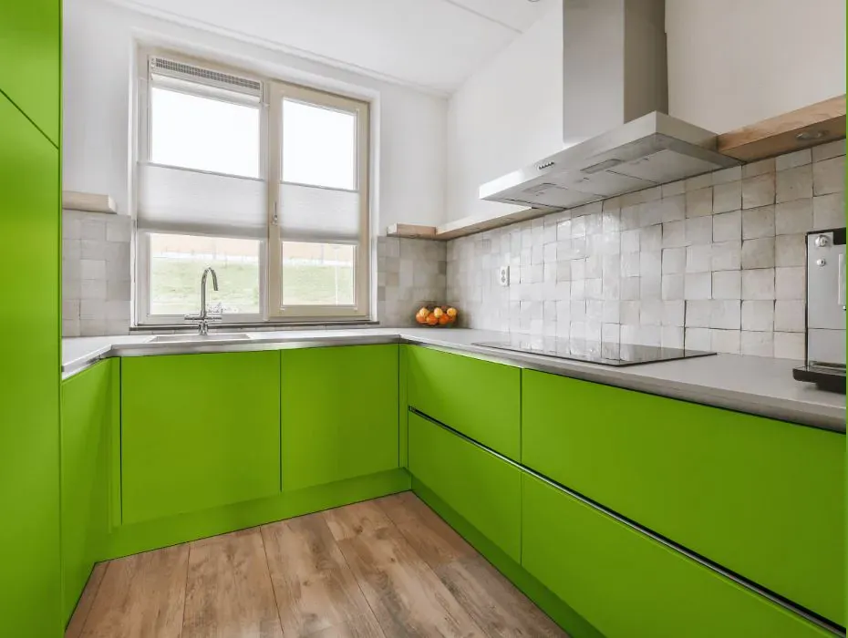 Sherwin Williams Outrageous Green small kitchen cabinets