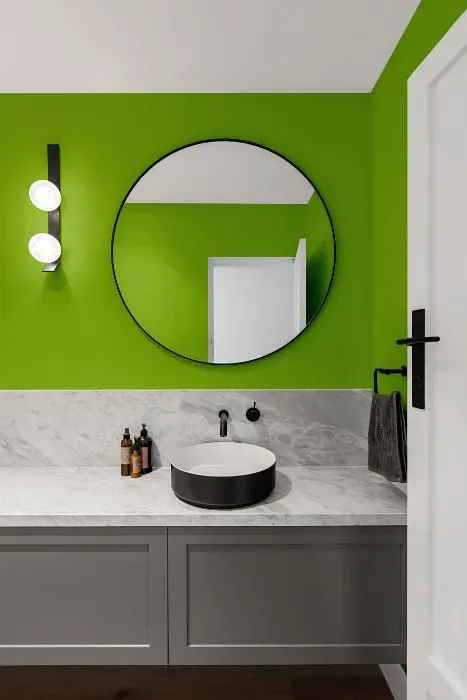 Sherwin Williams Outrageous Green minimalist bathroom