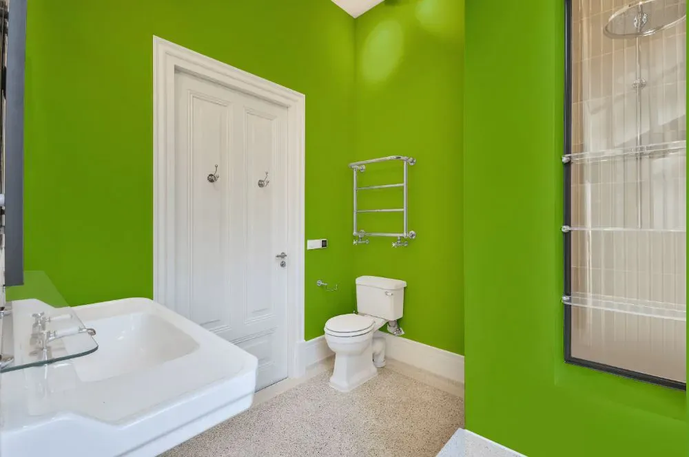 Sherwin Williams Outrageous Green bathroom