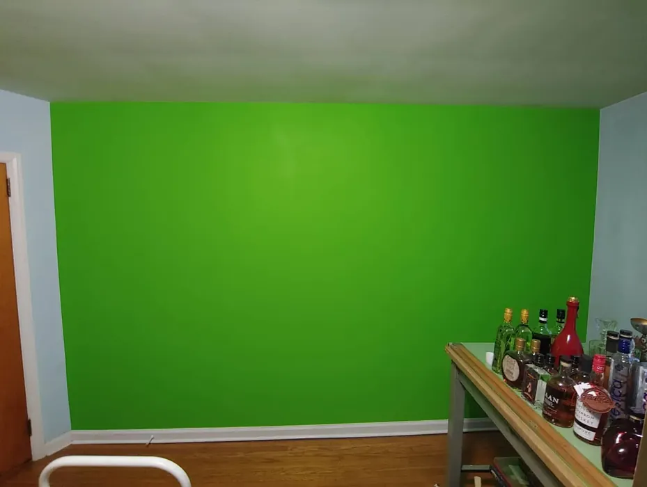 SW Outrageous Green accent wall 