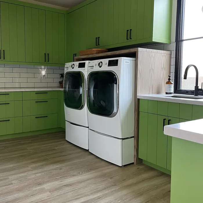 Sw Overt Green Laundry Room