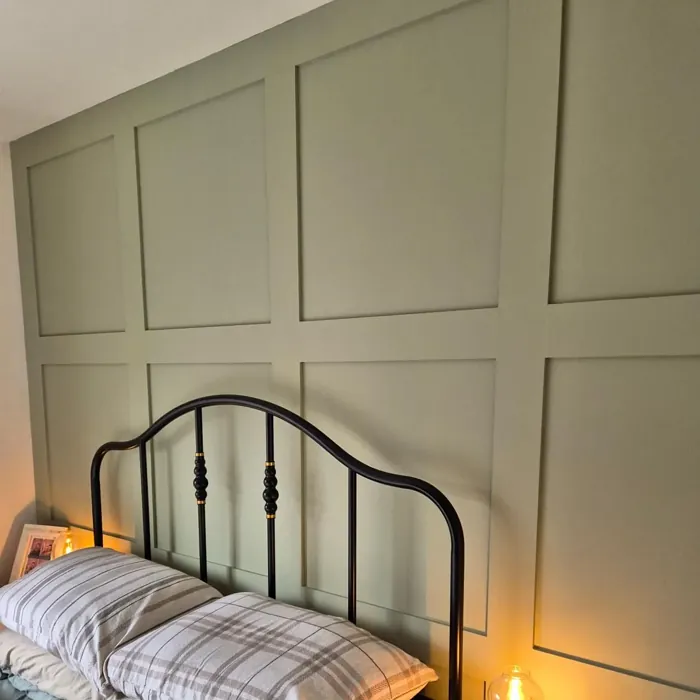 Dulux Overtly Olive bedroom panelling review