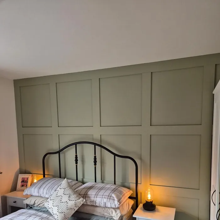 Dulux Overtly Olive bedroom panelling picture