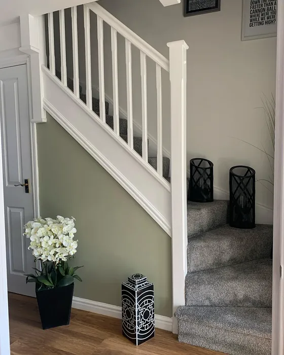 Dulux Overtly Olive scandinavian hallway inspiration