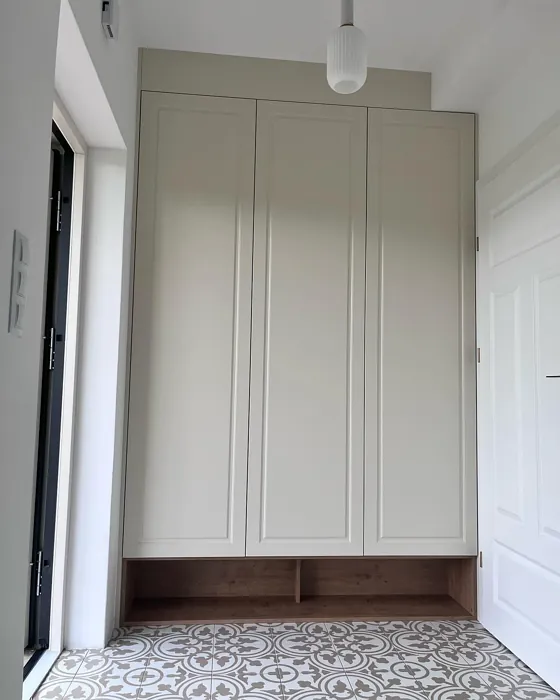 RAL 1013 painted cabinets color