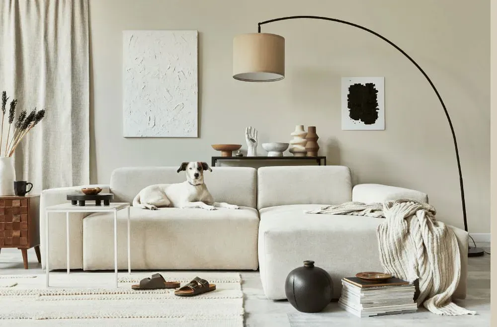 Sherwin Williams Oyster White cozy living room