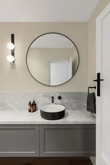 Sherwin Williams Pacer White minimalist bathroom