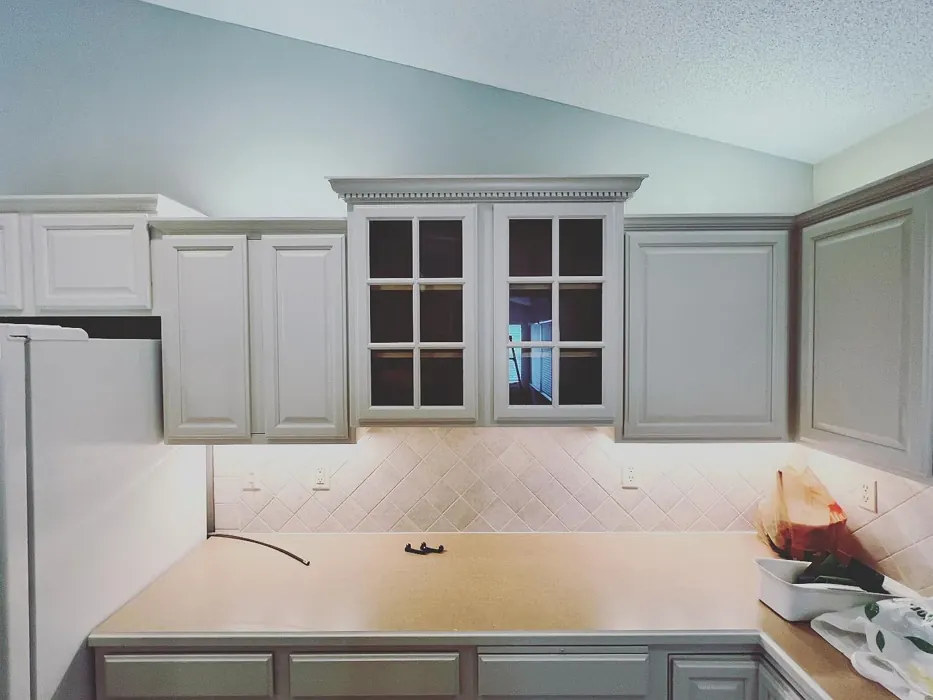 SW 6098 kitchen cabinets 