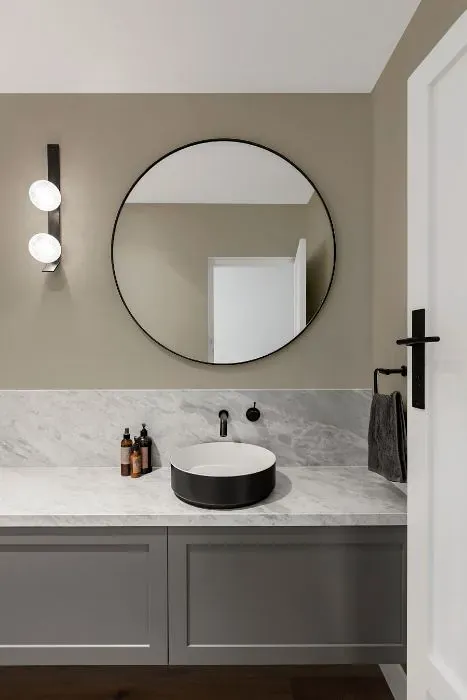 Sherwin Williams Pachyderm minimalist bathroom