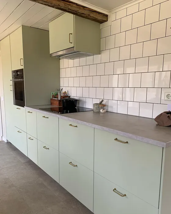 Jotun Pale Green kitchen cabinets color