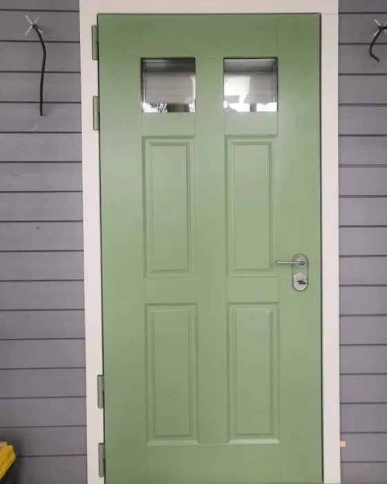 RAL Classic Pale Green RAL 6021 painted door