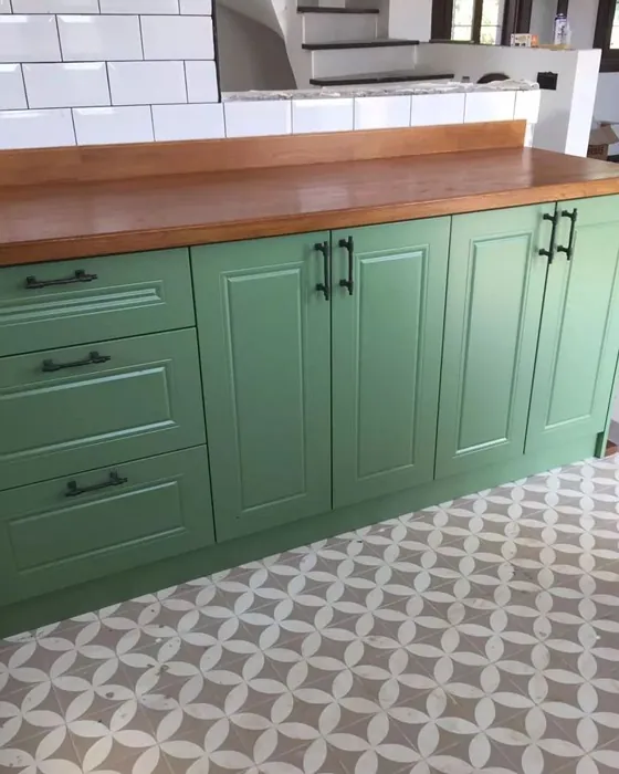 RAL Classic Pale Green RAL 6021 kitchen cabinets