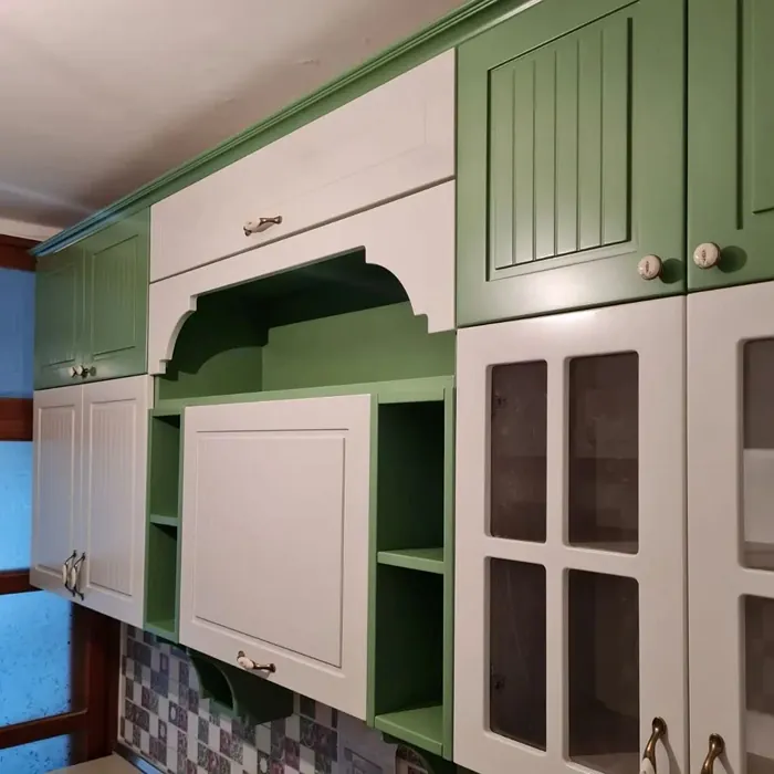 RAL Classic Pale Green RAL 6021 kitchen cabinets