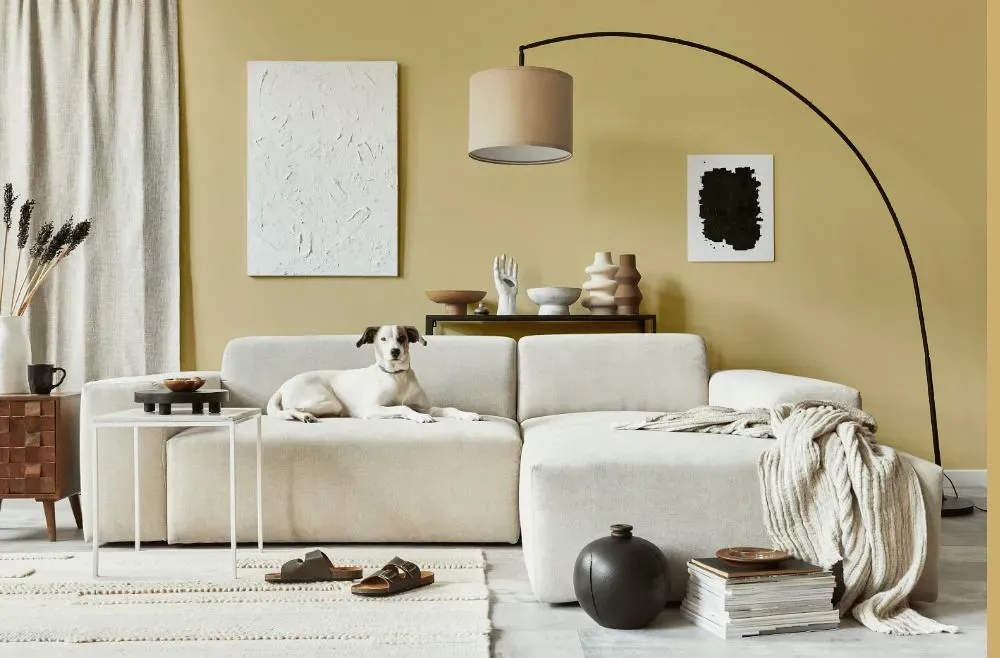 Sherwin Williams Pale Moss cozy living room