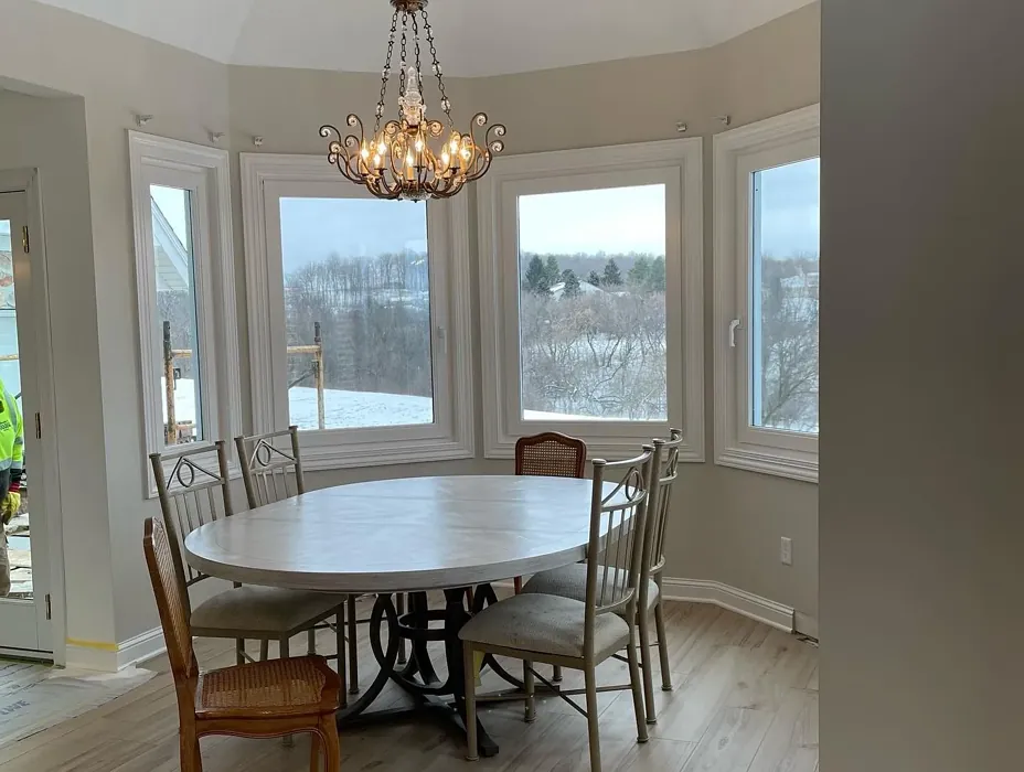Benjamin Moore Pale Oak dining room picture