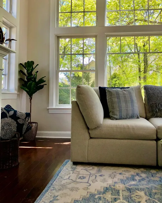 Benjamin Moore Pale Oak living room review