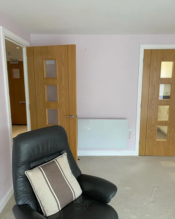 Pale Peony wall paint color review