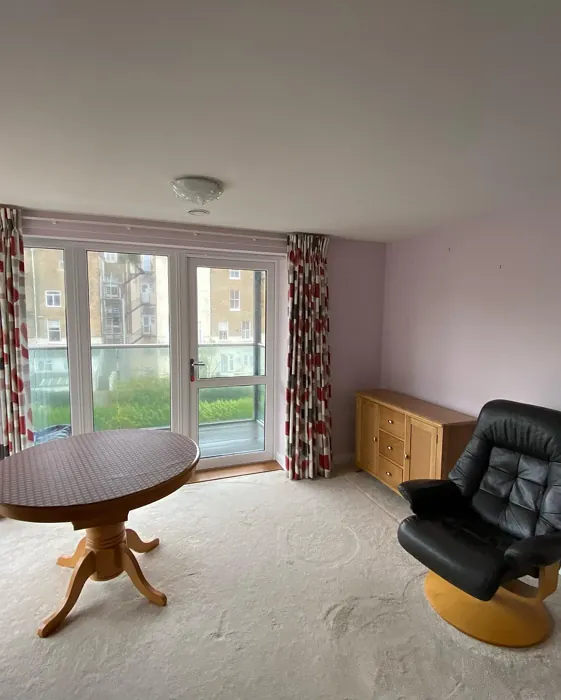 10RR 75/039 wall paint 