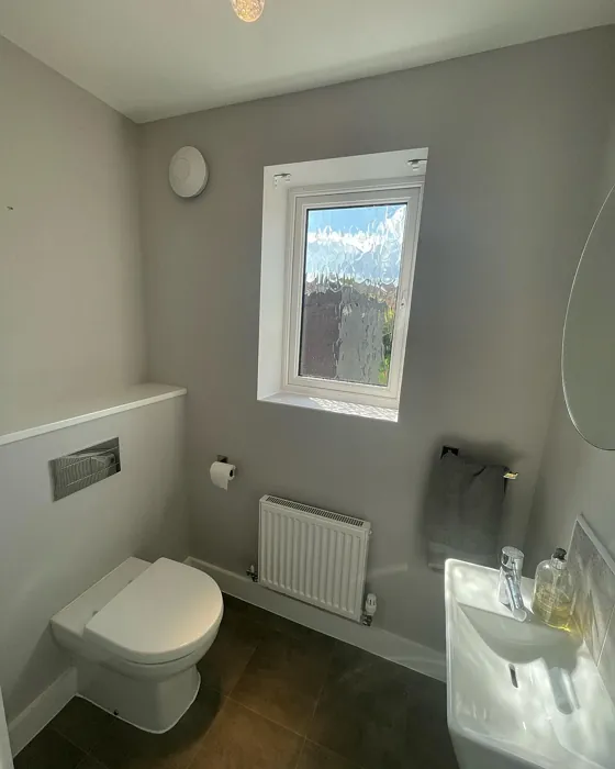 Dulux Pale Taupe bathroom color