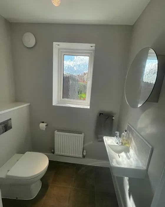 Dulux Pale Taupe bathroom review