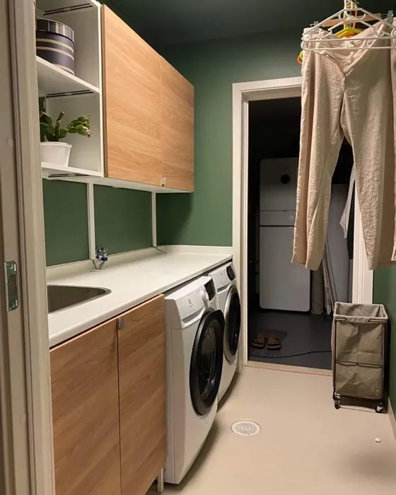 Jotun Palm Leaf laundry room color